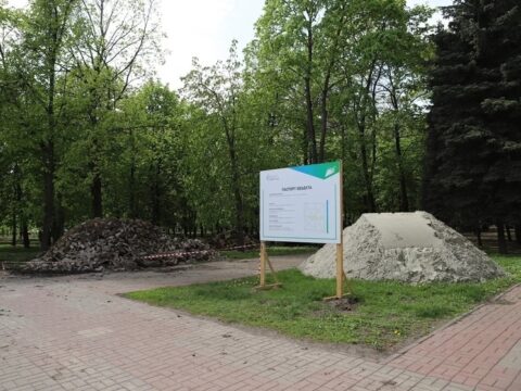 В Курске 4 мая проведут встречу по поводу сноса деревьев в парке Бородино Новости Курска 