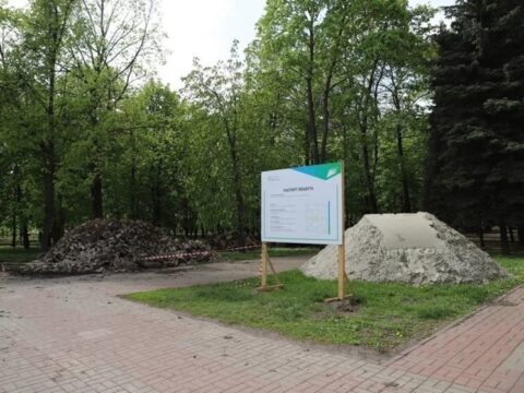В Курске в понедельник решат судьбу деревьев в парке Бородино Новости Курска 